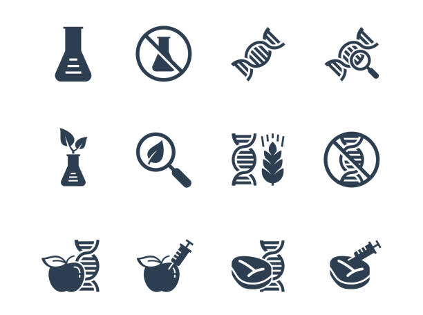illustrazioni stock, clip art, cartoni animati e icone di tendenza di set di icone vettoriali relative agli ogm - dna molecular structure genetic research biotechnology