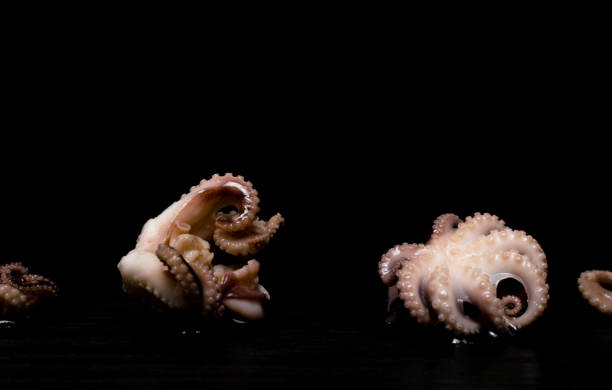 istock Raw octopus on black table. Seafood. Top view with space for your recipe 1018876488