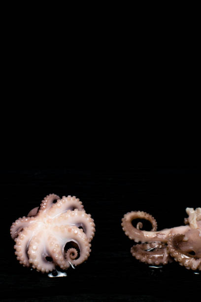 istock Raw octopus on black table. Seafood. Top view with space for your recipe 1018876554