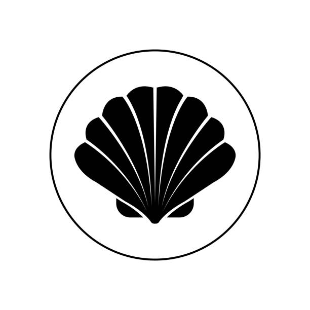 ilustraciones, imágenes clip art, dibujos animados e iconos de stock de icono de shell, vector - concha