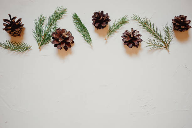 istock Christmas background with fir tree and decor, branches and cones. Top view with copy space, white plastered background 1018888864