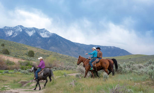 istock Cowboys Horseback Riding 1018889868