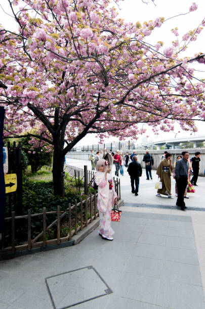 chica japonesa con kimono - chica kimono del anime fotografías e imágenes de stock