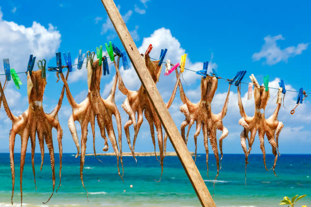 istock Drying octopus in Chania, Crete, Greece 1018890326