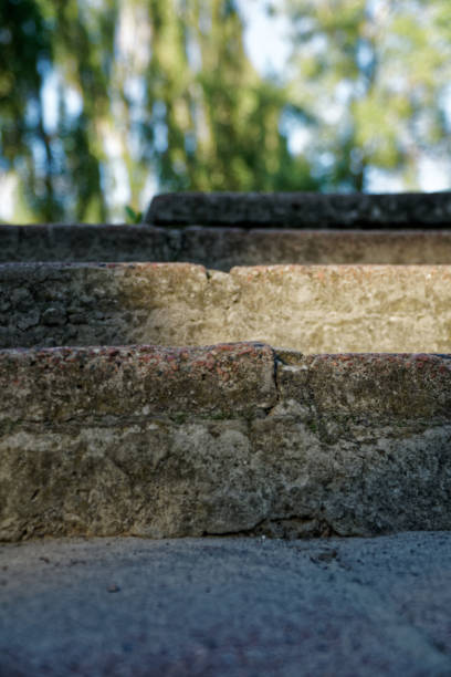 istock Brick grunge Stone stairs with leafs, defocused background 1018890428