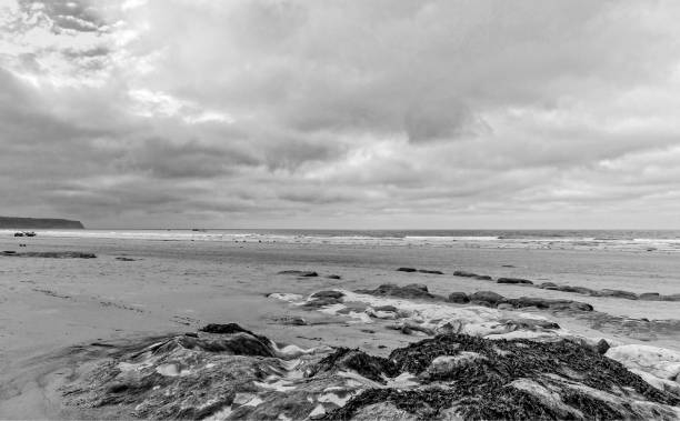 spiaggia deserta in bianco e nero. - scenics coastline uk moss foto e immagini stock