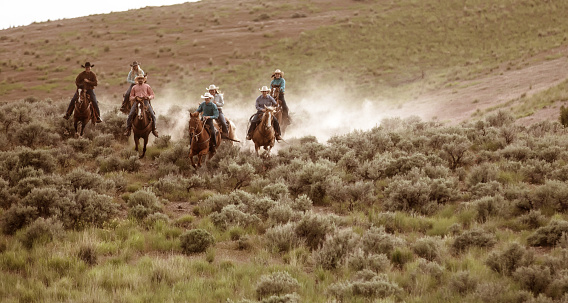 Vaqueros a caballo a toda velocidad en Utah photo