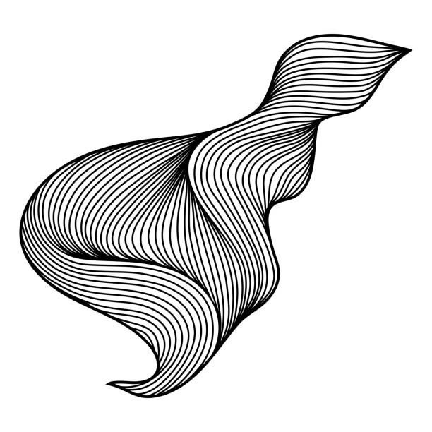 ilustraciones, imágenes clip art, dibujos animados e iconos de stock de enrollamiento de línea de pelo de onda - scroll shape ornate swirl striped