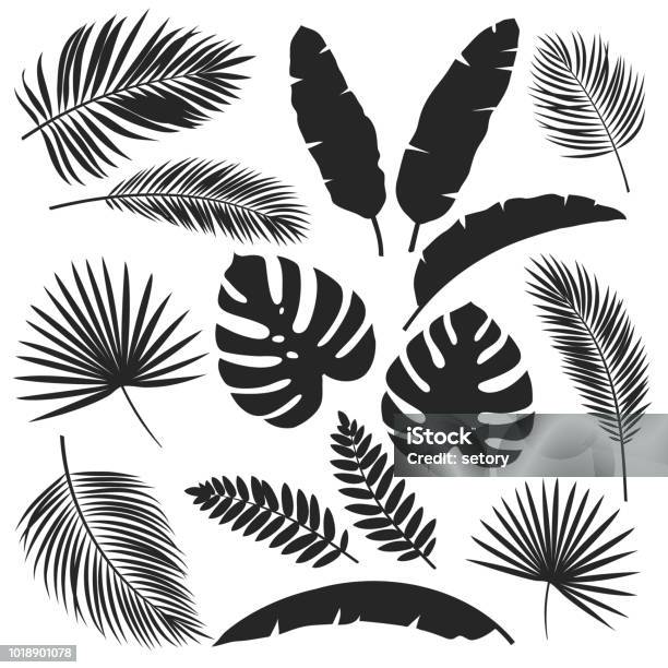 Ilustración de Tropical De Siluetas De Hojas y más Vectores Libres de Derechos de Hoja de palmera - Hoja de palmera, Hoja, Vector