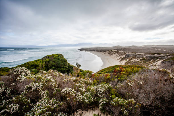 Moody early morning clouds over the beach at Walker Bay, South Africa stock photo