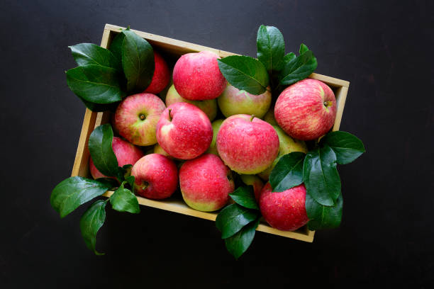 istock Fresh red apples in the wooden box on black background.  Top view. 1018901862