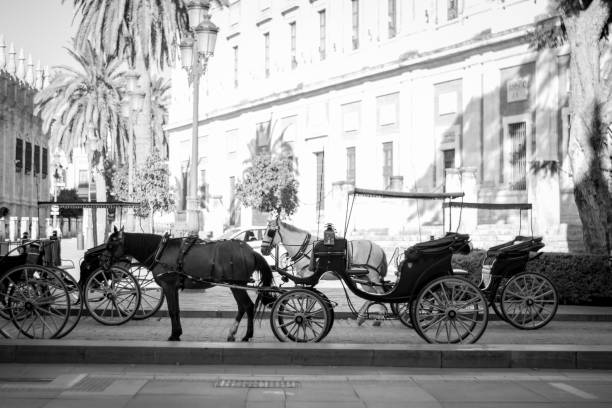 istock Horse on Street 1018921996