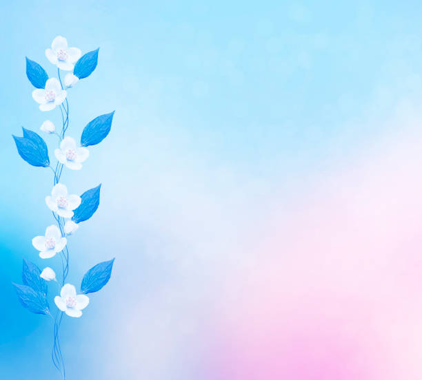 istock jasmine. The branch delicate spring flowers 1018922624