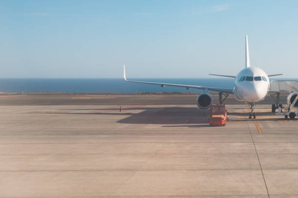 davanti all'aereo in piedi sulla pista con sfondo oceanico - pilot cockpit flying business foto e immagini stock