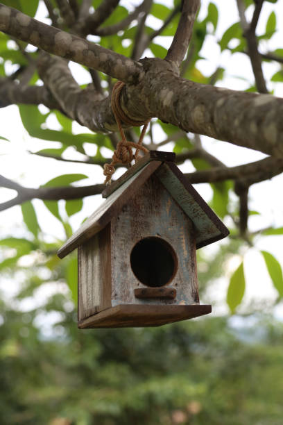 istock Birdhouse  from wood material 1018926568