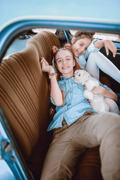 istock Two Sisters Having Fun In Car With Puppy 1018929324