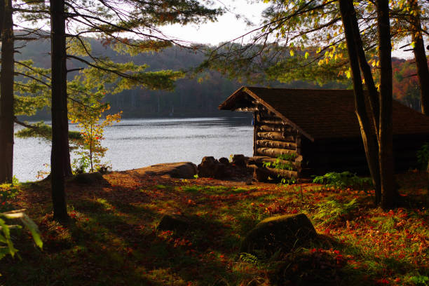 Log cabin lean-to Campsite during the autumn season in the Adirondack Mountains stock photo