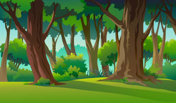 야생에서 자연 그림을 페인트 - forest stock illustrations