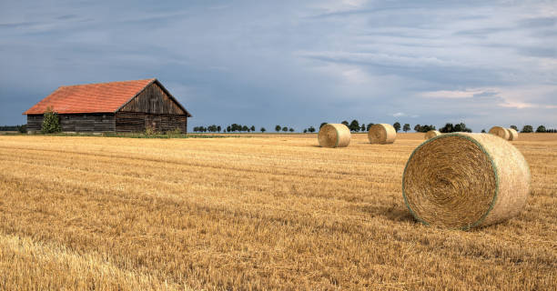 istock Straw bales in front of old wooden barn 1018936618