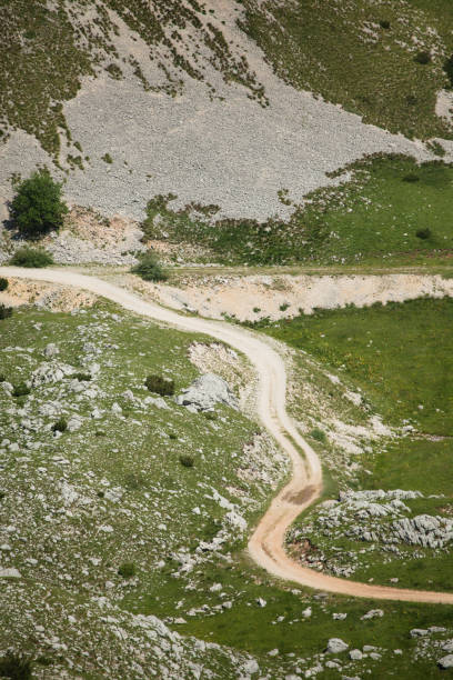 istock Country road in high mountains at summer 1018940004