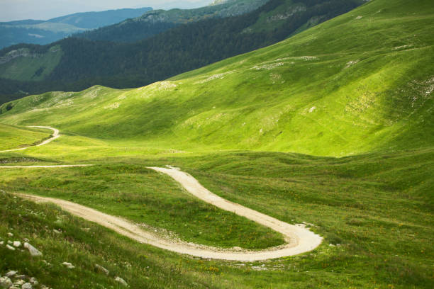 istock Country road in high mountains at summer 1018942652
