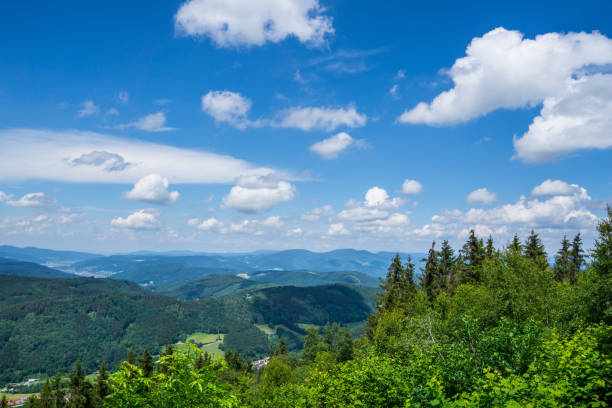 istock Germany, Endless view from top of mountain Kapf in black forest 1018943012