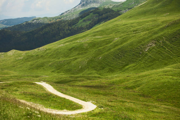 istock Country road in high mountains at summer 1018947420
