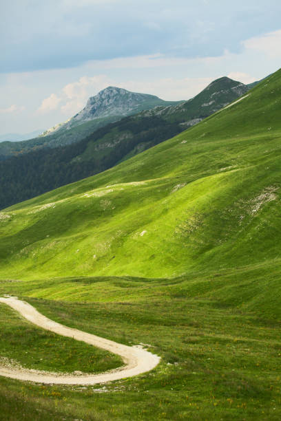 istock Country road in high mountains at summer 1018947442
