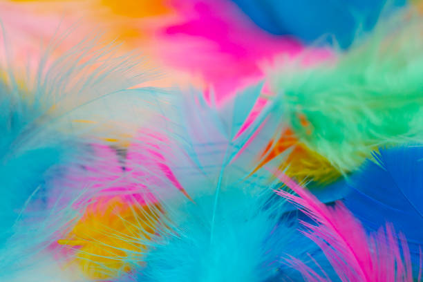 istock Blurry background of colorful feathers 1018948156