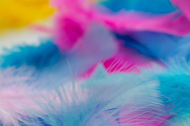 istock Blurry background of colorful feathers 1018948176