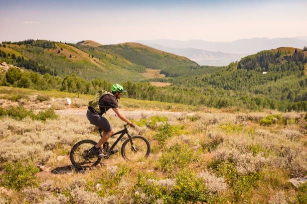 istock Mountain Bike Ride 1018948356