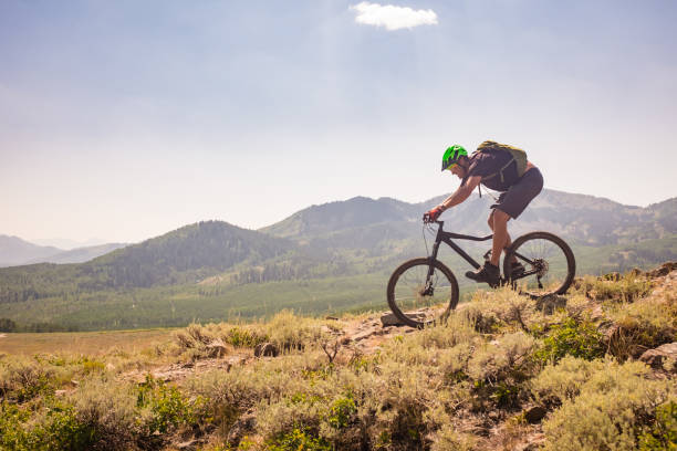Mountain Bike Ride A high elevation mountain bike ride in Park City, Utah. cycling helmet photos stock pictures, royalty-free photos & images
