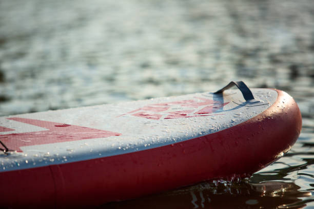 istock Close up of a stand up paddle board SUP and paddle on a dock 1018951672