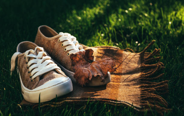 istock Autumn shoes and a warm woolen scarf 1018954662