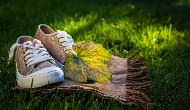 Autumn shoes and fallen yellow foliage