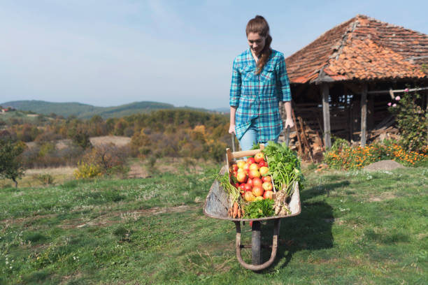 istock Living The Country Life 1018959308