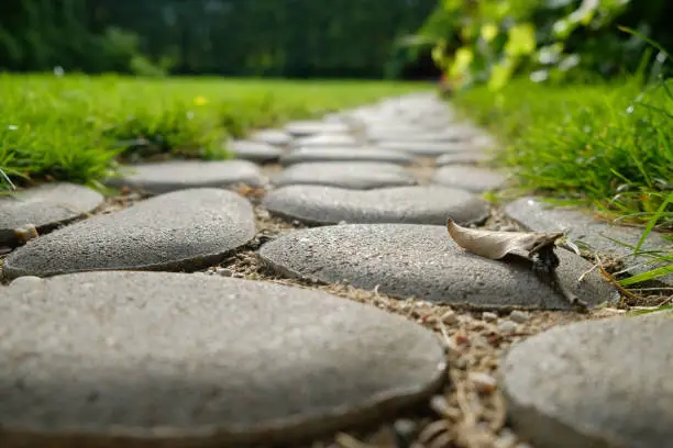 Path in a garden in a grass near the house consisting of oval stones.Close up.