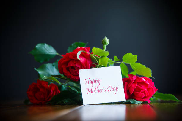 istock beautiful red blooming roses on a black background 1018959854