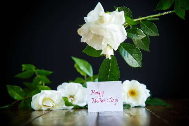istock beautiful white blooming roses on a black 1018962264
