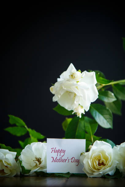 istock beautiful white blooming roses on a black 1018962326