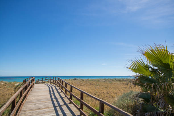 istock Wooden path with blue sea and clear sky on a summer day 1018962694