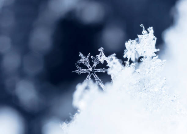 istock snowflake, little snowflake on the snow 1018968946