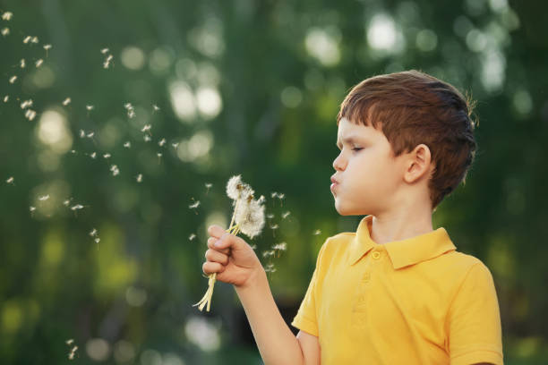 istock Cute boy blowing dandelion outdoors. 1018976008