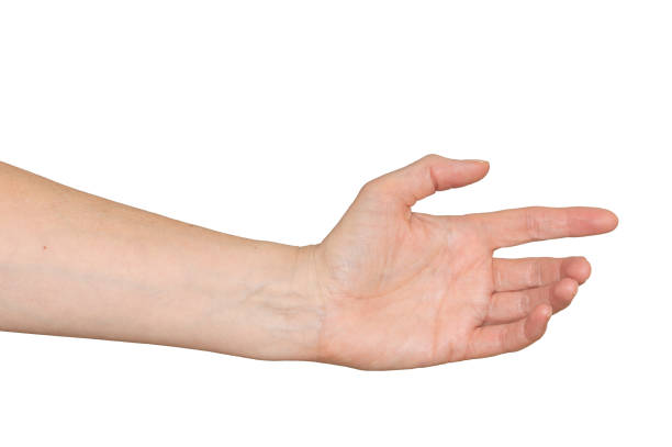 istock Caucasian woman's hand in reaching out gesture. Isolated. 1018978394