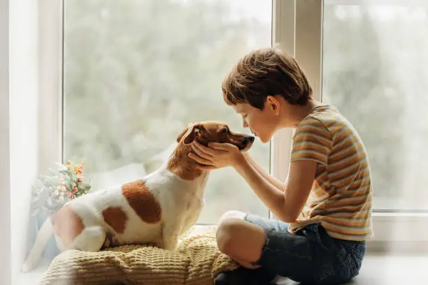 Photo of Little boy kisses the dog in nose on the window.