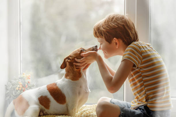 kleiner junge küsst den hund in nase am fenster. - cute little boys caucasian child stock-fotos und bilder