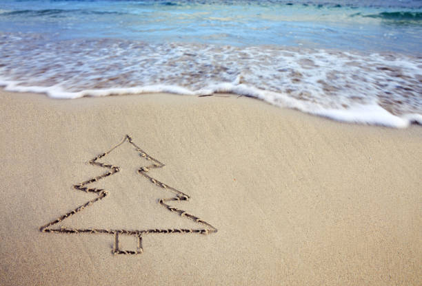 Fir tree drawn in the sand with wave rolling. Christmas background.