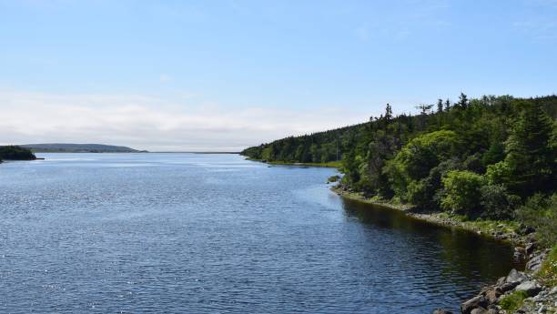 istock East Brook river estuary; Trepassey NL Canada 1018983198
