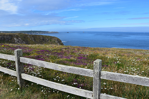Sunny day on Cape Pointe du Van, Brittany, France. Old wooden fence on the high cliffs covered with grass and wild herbs. Calm see and blue sky at background. View to Phare da la Vieille lighthouse at distance.
