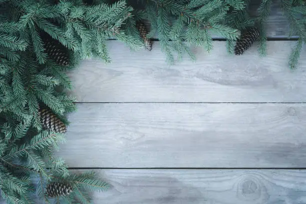 Christmas Firbranch with cones on old wooden rustic background with copy space for text, toned